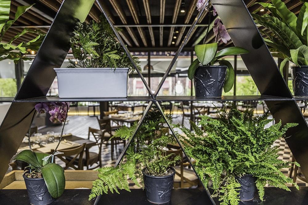Domingo Santo Hotel Boutique (Adults Only) Meksyk Zewnętrze zdjęcie